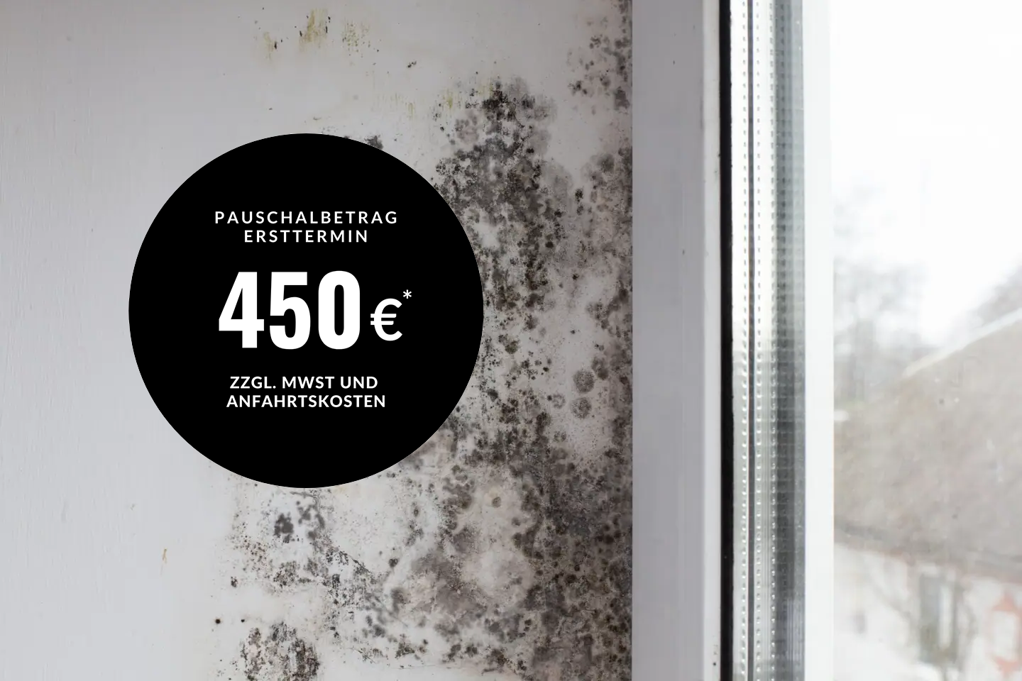 Schimmelpilz gutachter kastellaun